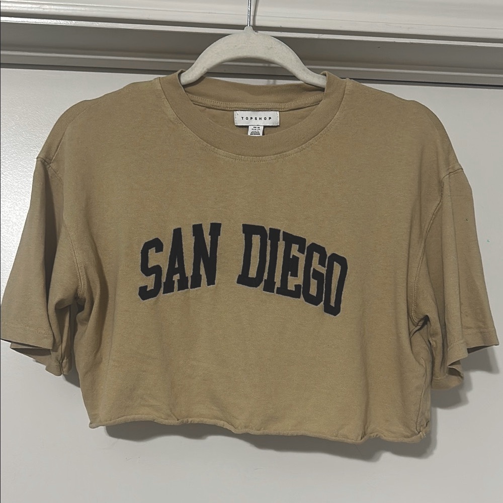 Topshop Beige Cropped Embroidered Tee